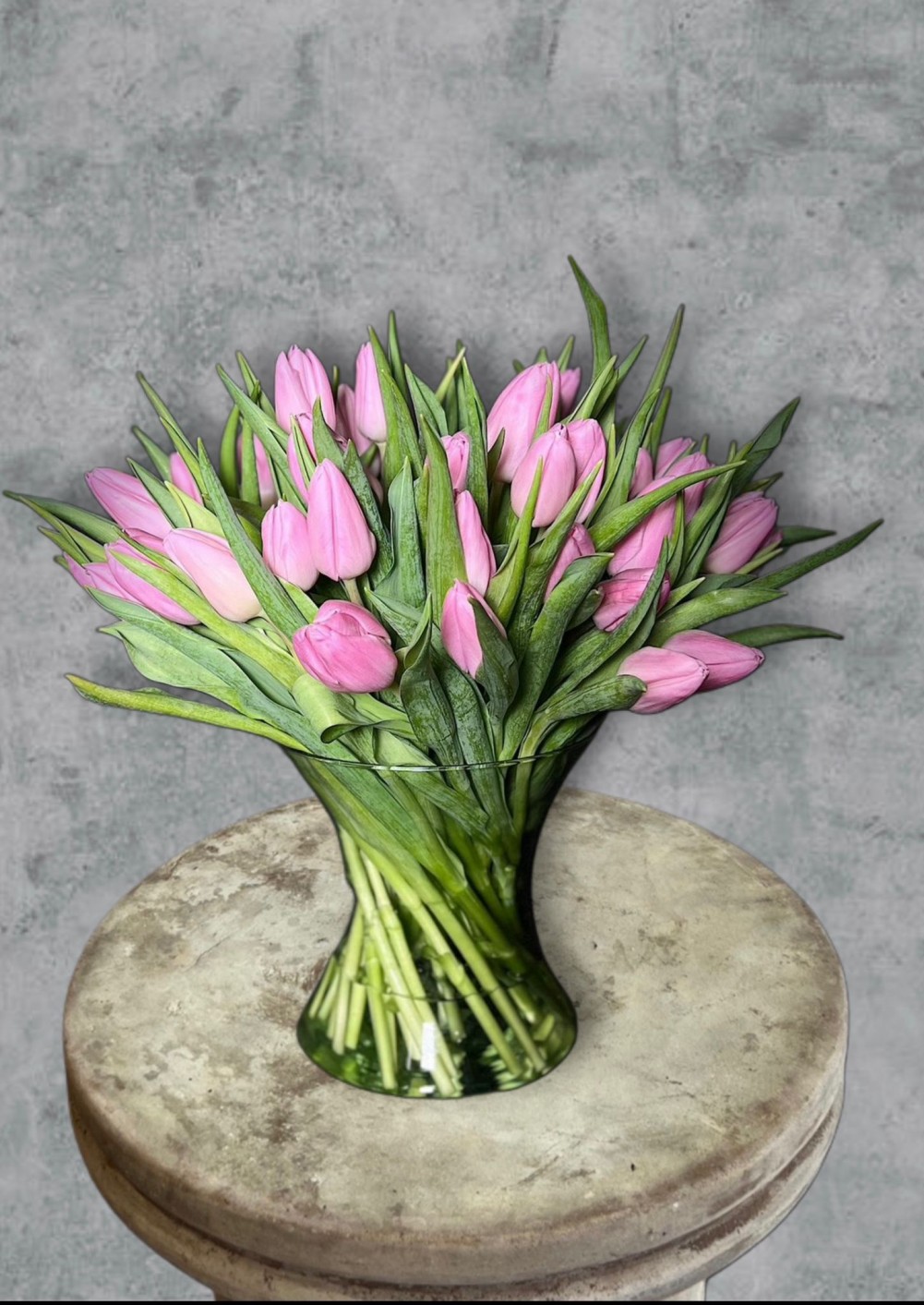 Bella Blush Tulip Bouquet