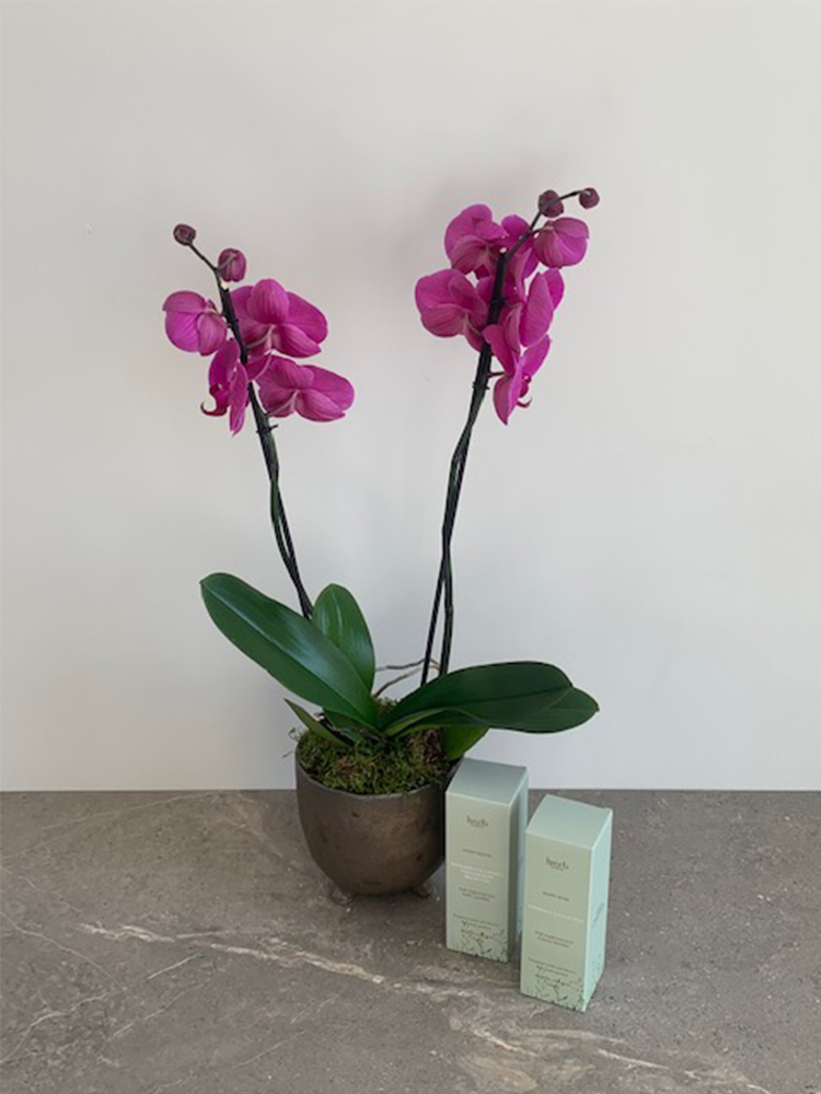 Luxury Pink Orchid with Herb Dublin Giftset