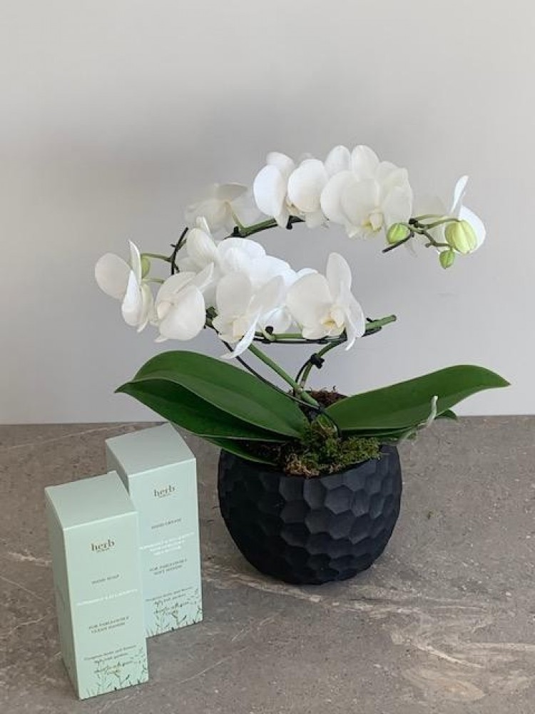 Leonara White Circular Orchid and Herb Dublin Giftset