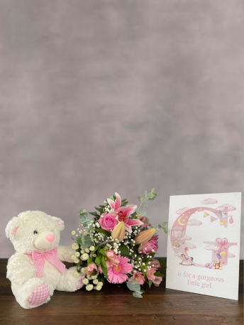 Baby Girl Giftset