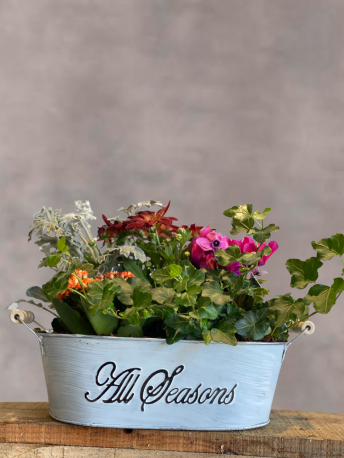 Seasonal Plant Box