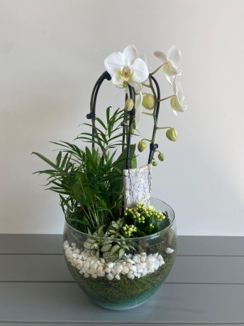 White Orchid Fishbowl