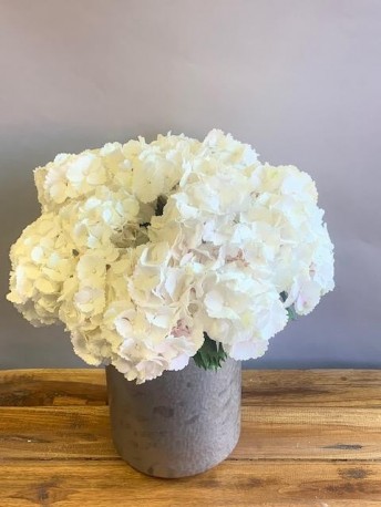 Pure Beauty Hydrangea Bouquet