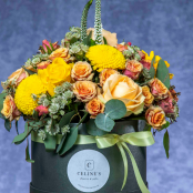 Charlotte Hatbox